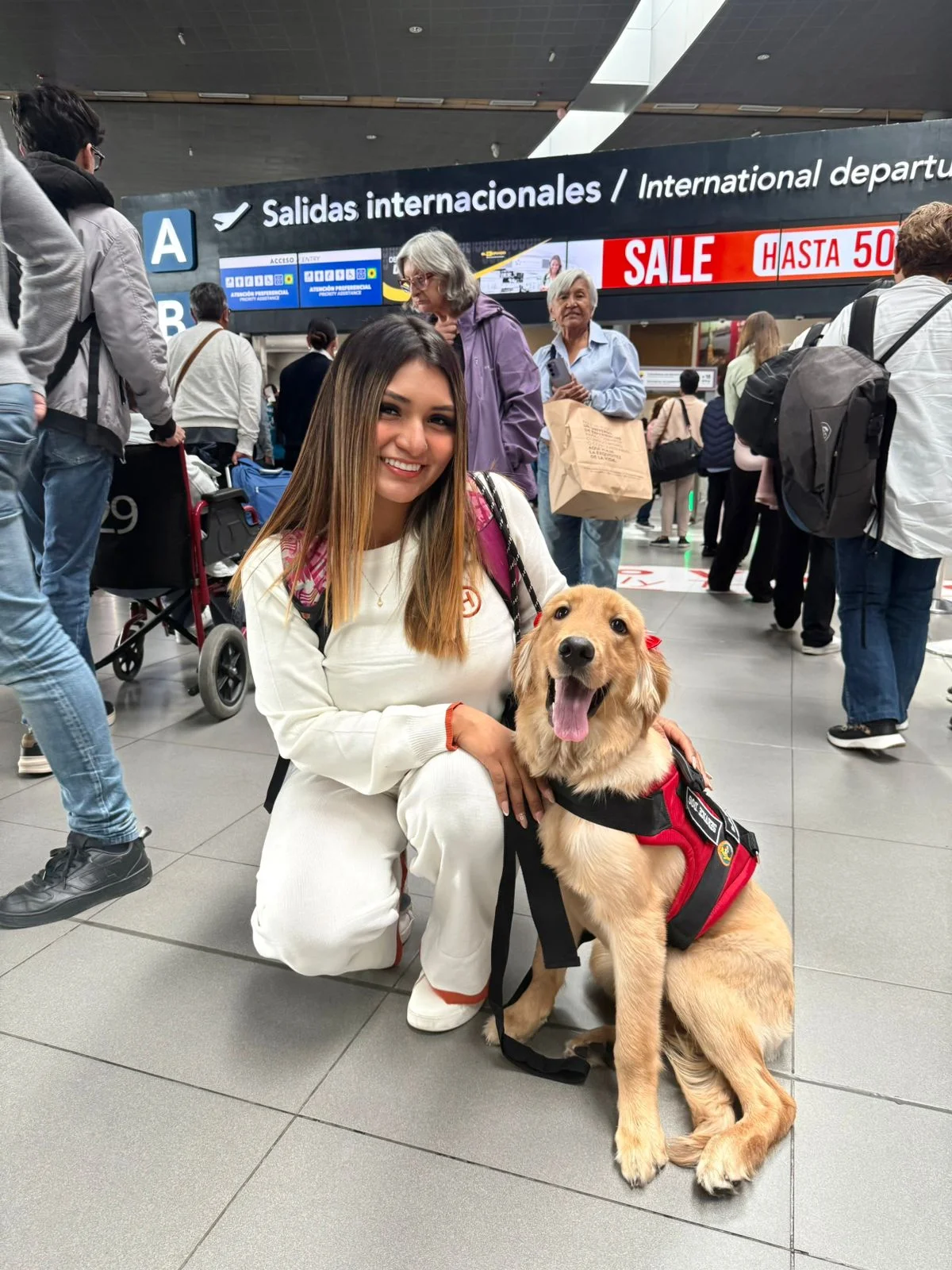 Laika viajando a Punta Cana